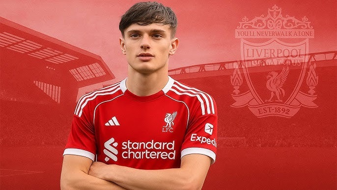 岁的麦卡蒂 岁的麦卡蒂