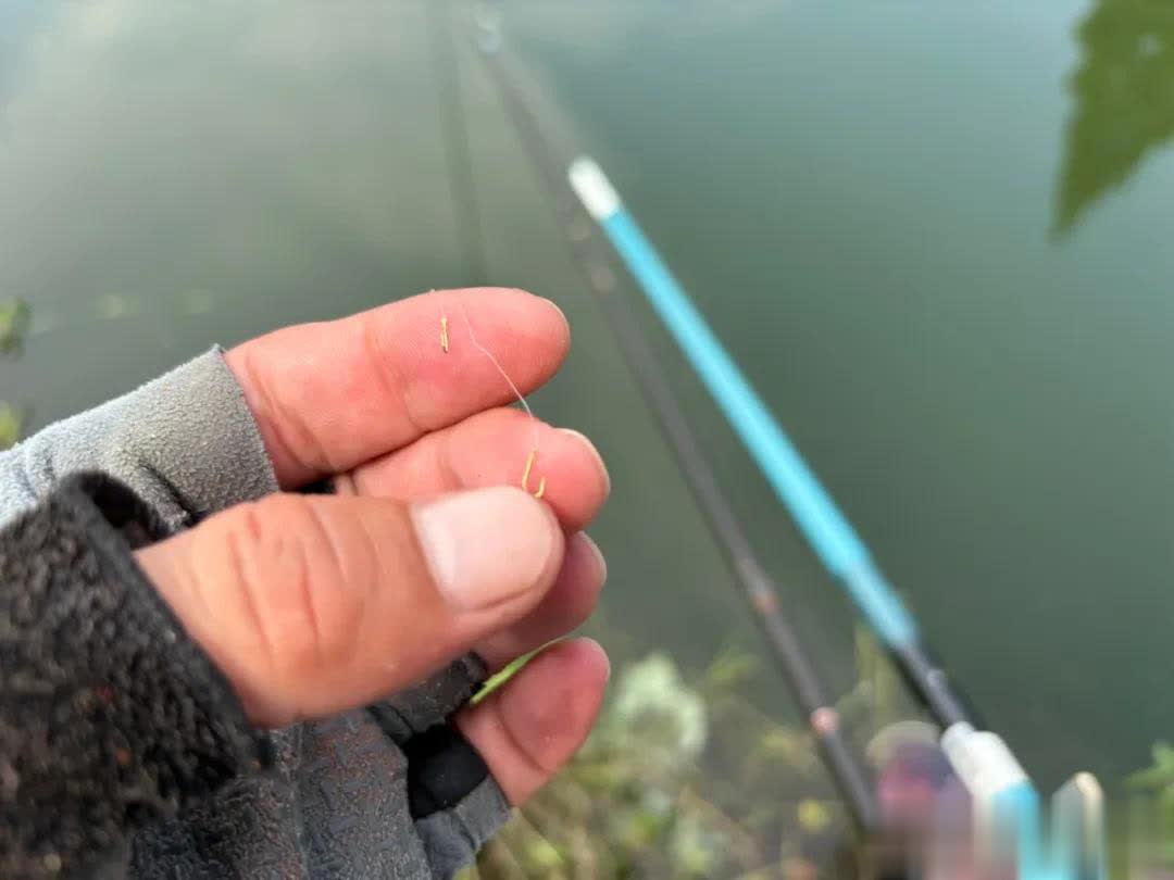 掌握核心技, span, 然后尽量挑