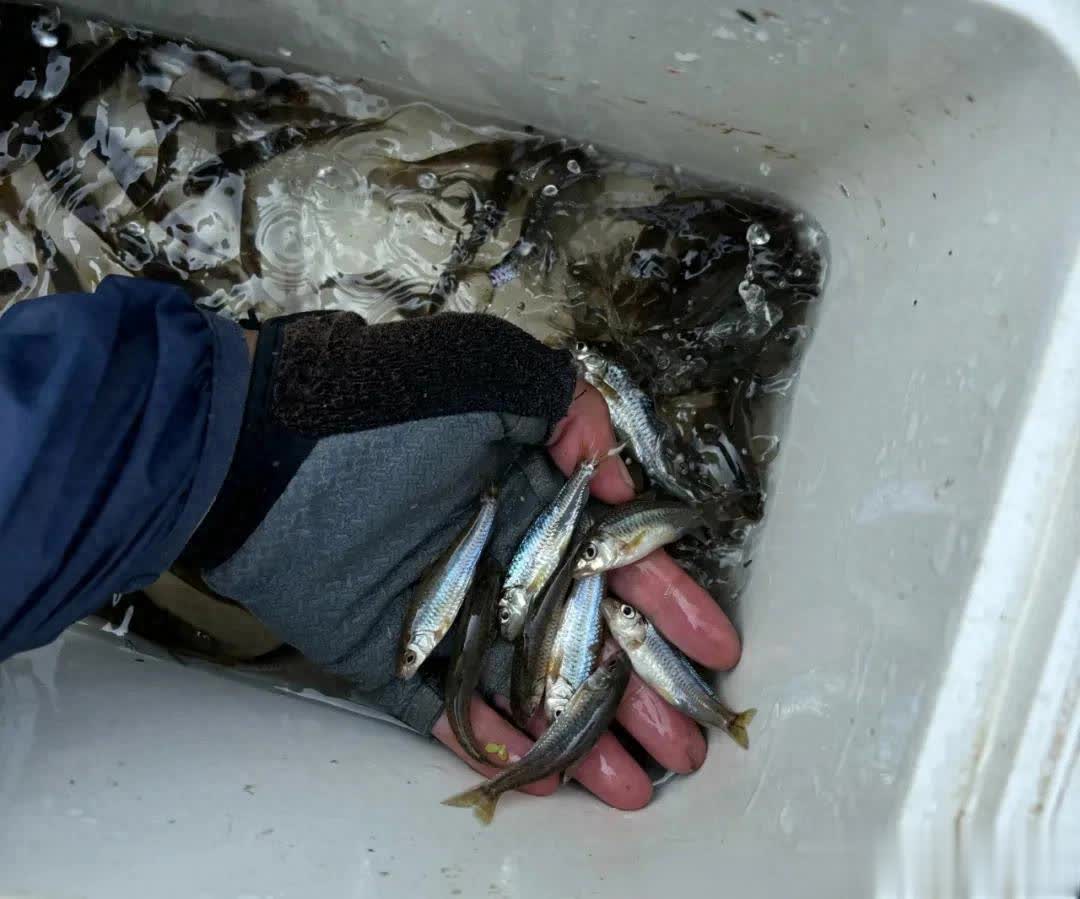 span, 长度不一样