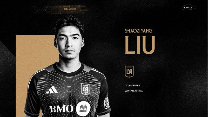 足球联赛系 足球联赛系